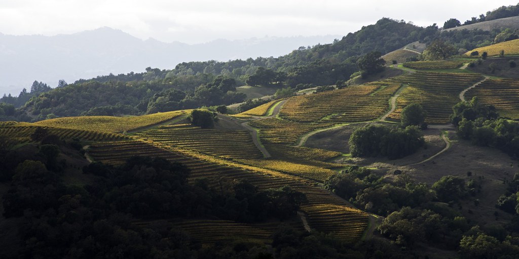 Knight's Valley vineyards, Napa