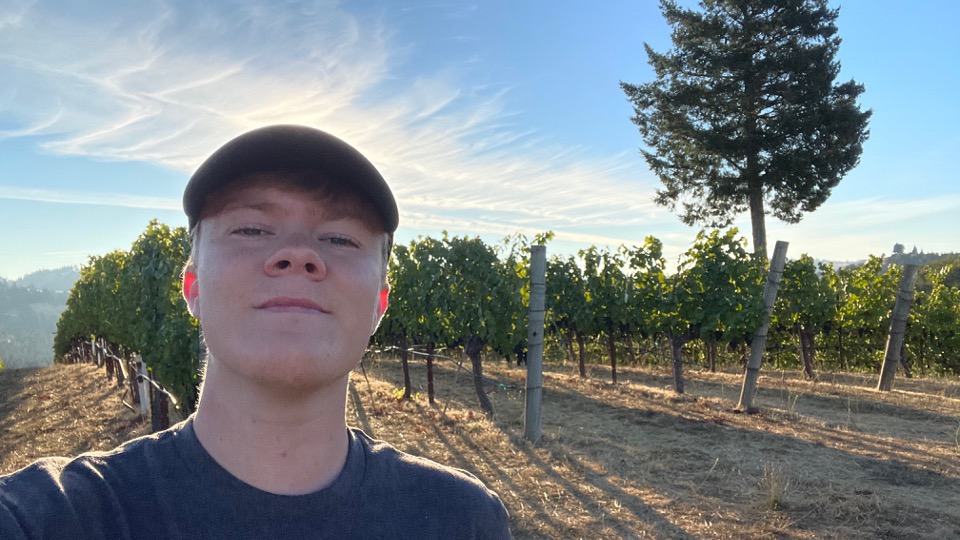 Will Jenkins in the vineyard