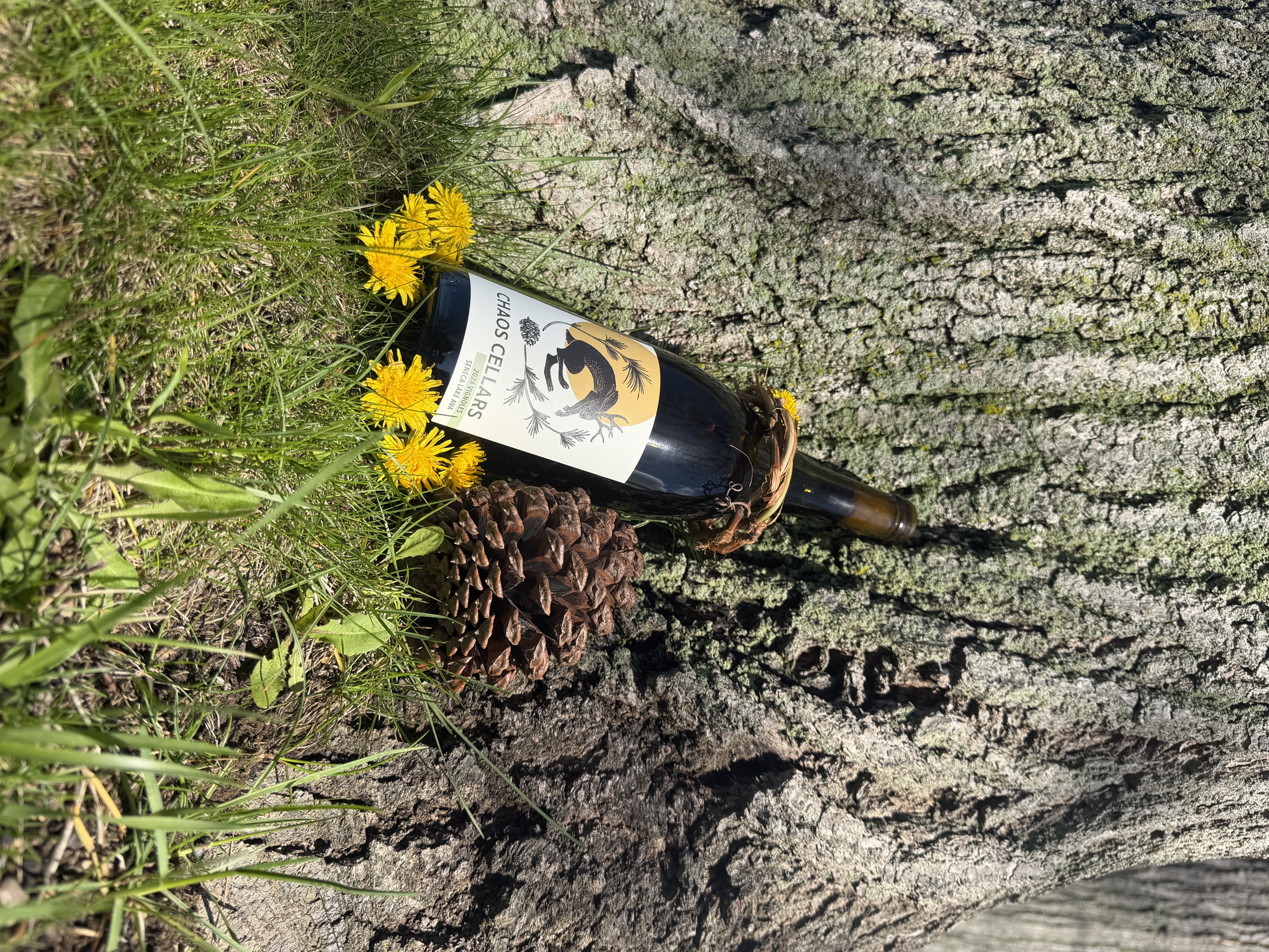 2024 Vignoles — Chaos Cellars