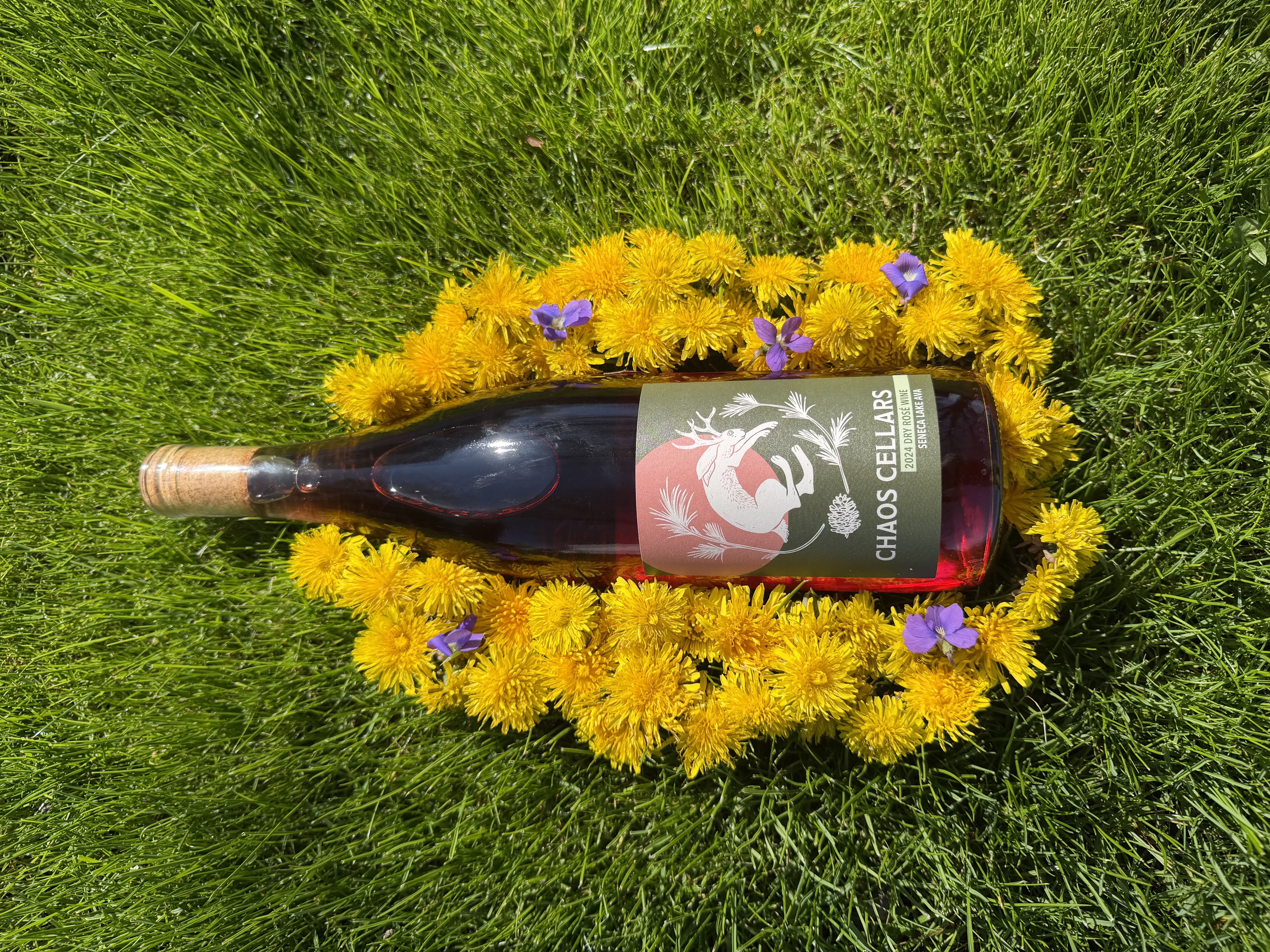 2024 Dry Rosé — Chaos Cellars